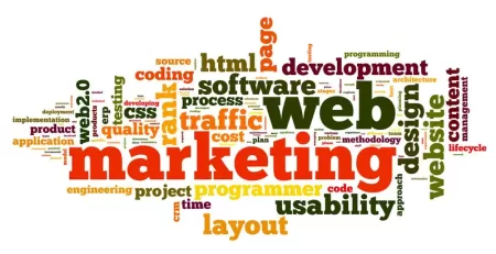 Website & Content Strategies